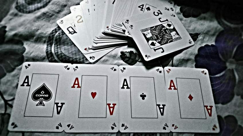 wild vegas